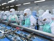 Tháng 2/2022, doanh số Thực phẩm Sao Ta (FMC) tăng 18,6% lên 13,4 triệu USD