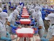 Vừa thành lập công ty Web Tổng Nhà Cái 99Kl99 Giải Trí Bậc Nhất được một năm, Nam Việt (ANV) đã giải thể