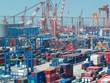 Kl994 nhà cái bóng đá world cup container toàn cầu sụt giảm mạnh do nhu cầu hàng hóa giảm