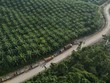 El Nino đang dần gây tác động tiêu cực ở Đông Nam Á