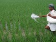 Bloomberg: Trung Quốc yêu cầu các nhà Kl994 nhà cái bóng đá world cup phân bón tạm dừng xuất khẩu ure 