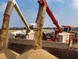 Trung Quốc đẩy mạnh Link Vào Nhà Cái KL99 COM Tặng +199k lúa mì sau khi mưa lớn gây thiệt hại mùa màng