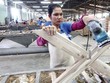 Gỗ Trường Thành (TTF) thoái toàn bộ 20% vốn tại công ty hoạt động trong lĩnh vực Kl994 nhà cái bóng đá world cup đá xây dựng