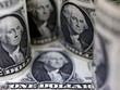 Fitch Ratings: Thâm hụt tài khóa của Mỹ vẫn ở mức cao trước cuộc bầu cử