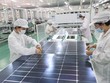 IEA: Các quốc gia đang đẩy mạnh triển khai năng lượng tái tạo