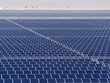 IEA: Năng lượng mặt trời đối mặt với tình trạng dư cung
