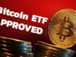 Các quỹ ETF bitcoin của Mỹ đặt vấn đề về rủi ro hệ thống Kl991.com nạp rút nhanh rộng hơn