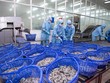 Thực phẩm Sao Ta (FMC) bầu thay thế thành viên HĐQT, người liên quan Chăn nuôi C.P Việt Nam