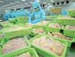 Nam Việt (ANV) sắp trả tổng cộng 66,56 tỷ đồng 99Kl.app mobile mới nhất năm 2023