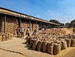 Giá gạo giảm mạnh sau khi Ấn Độ nới lỏng hạn chế xuất khẩu gạo