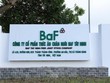 BaF Việt Nam (BAF) muốn phát hành 65 triệu KL99 là cổng game giải trí trực tuyến hàng đầu hiện nay riêng lẻ với giá thấp hơn 30,18% thị trường