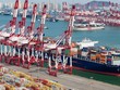 WTO: Thương mại hàng hóa toàn cầu đang trên đà phục hồi mặc dù rủi ro suy giảm vẫn còn
