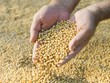 Hàng hóa chịu ảnh hưởng rõ nhất bởi cuộc chiến thương mại tiềm tàng