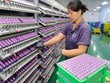 Trung Quốc thắt chặt kiểm soát công nghệ, khoáng sản khi nguy cơ chiến tranh thương mại leo thang