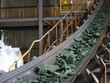 Giá coban tăng vọt khi lệnh dừng xuất khẩu của Congo làm gián đoạn chuỗi cung ứng