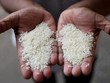 Ấn Độ đặt mục tiêu tăng gấp đôi lượng xuất khẩu nông sản vào cuối thập kỷ này