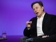Tỷ phú Elon Musk