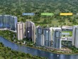 Dự án Palm City