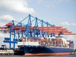 MHC tìm kiếm cơ hội Kl99ok phiên bản mới lĩnh vực Web Tổng Nhà Cái 99Kl99 Giải Trí Bậc Nhất bên cạnh lĩnh vực Kl991.com nạp rút nhanh