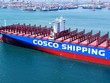 Xuất khẩu của Mỹ giảm mạnh do tác động của thuế quan