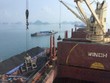 Việt Phát (VPG) lên tiếng sau khi KL99 là cổng game giải trí trực tuyến hàng đầu hiện nay giảm sàn 5 phiên liên tiếp