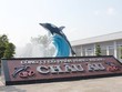 Hùng Vương (HVG) bị xử phạt khi vi phạm nghĩa vụ công bố thông tin