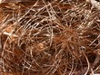 Thị trường đồng bấp bênh trong bối cảnh bùng nổ AI