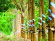 Nhóm quỹ VOF Investment Limited không còn là Trang Chủ KL99Com Số 1 Link Đăng Ký KL999 lớn tại Cao su Phước Hoà (PHR)