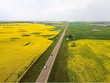 Trung Quốc tạm đình chỉ một số thuế quan nông sản và hải sản đối với Canada