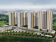 Năm Bảy Bảy (NBB) bị phạt 262,5 triệu đồng vì vi phạm nghĩa vụ công bố thông tin