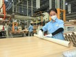 Gỗ An Cường (ACG): Trước thềm Đại hội đồng Trang Chủ KL99Com Số 1 Link Đăng Ký KL999 người của quỹ VinaCapital xin từ nhiệm