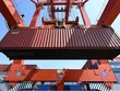 OECD: Hạn chế xuất khẩu đối với các vật liệu thiết yếu đã tăng gấp 5 lần kể từ năm 2009