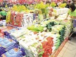 Lo ngại Kl999.com Đường Link Mới Nhất bùng phát trên toàn cầu