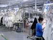 Chỉ số PMI tháng 12 của Trung Quốc tăng nhanh bất chấp ảnh hưởng bởi Covid