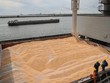 Vận chuyển ngũ cốc đến châu Phi tăng mạnh