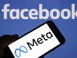Các công ty truyền thông Canada yêu cầu điều tra Meta 