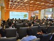 Nhà Kl99ok phiên bản mới cá nhân tìm kiếm cơ hội gì hoạt động của ETF?