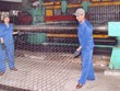 SFN chi trả 8% 99Kl.app mobile mới nhất đợt 2/2013 bằng tiền mặt