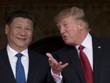 Chủ tịch Trung Quốc Tập Cận Bình và Tổng thống Mỹ Donald Trump. Ảnh: AFP.