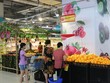 Kl991.com World Cup 2026 Chính Thức bán lẻ Việt Nam tìm kiếm nhà cung cấp từ phía Nhật Bản