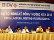 Quyết định nhận sáp nhập MHB được thông qua tại ĐHCĐ BIDV ngày 17/4 vừa qua