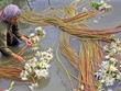 Sức mua hàng của phụ nữ tăng cao khi ngày càng nhiều phụ nữ tham gia thị trường lao động (ảnh minh họa)