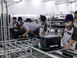 Khu vực FDI giúp Kl994 nhà cái bóng đá world cup công nghiệp Việt Nam tăng trưởng tốt, bù đắp cho sự sụt giảm trong ngành nông nghiệp do ảnh hưởng của thiên tai