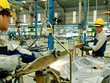 Lĩnh vực Kl994 nhà cái bóng đá world cup được dự báo sẽ tiếp tục có tăng trưởng cao và là động lực cho tăng trưởng GDP của Việt Nam trong năm nay
