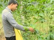 Cho vay các nhu cầu phục vụ đời sống của cư dân trên địa bàn nông thôn