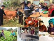 Đưa chính sách Kl99kl phiên bản hoạt động tiền gửi đến với đồng bào dân tộc thiểu số