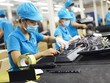 Doing Business 2019: Việt Nam tụt 1 bậc về môi trường Kl992 VIP Trang Chủ 2026 xuống vị trí 69/190 nền Kl992 cổng game cá cược