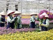 Điều kiện, thủ tục vay vốn theo Chương trình cho vay theo Nghị định 55 