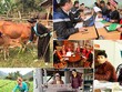 Ảnh Internet
