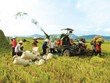 Về chính sách tín dụng phát triển nông nghiệp nông thôn